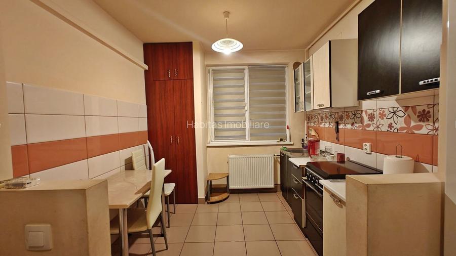 Apartament 2 camere pe Str. Unirii, Iulius Mall - 12