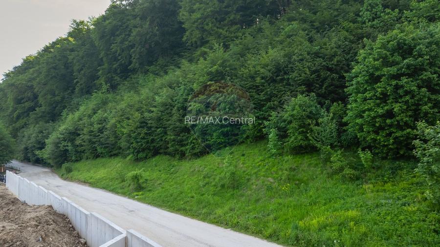 Teren intravilan 2000mp parcelat -ideal rezidențial/investitie- Bunloc - 6