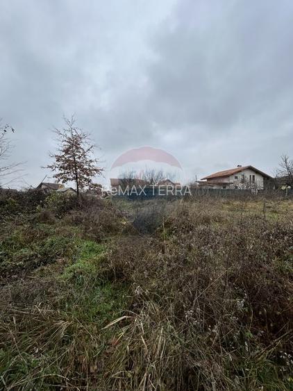 Teren 1,200mp si 400m2 cota drum Satu Nou de Jos / Strada Principala - 5