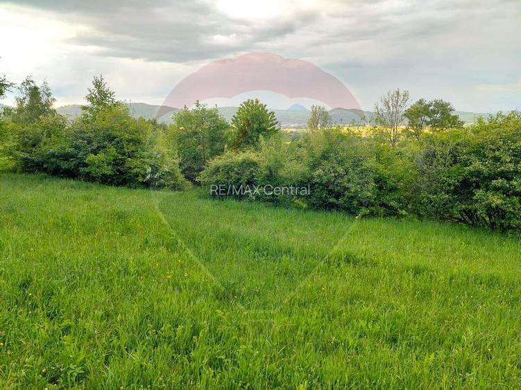 Teren Bran-Zarnesti - Tohanita, 4223mp - 12