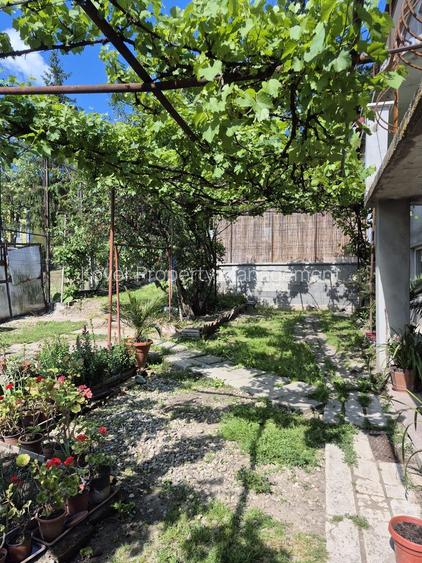 Casa de Vazare , Centru Sfantu Gheorghe - 16