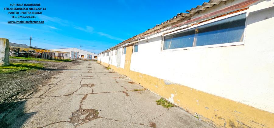 Complex imobiliar format din cladiri si constructii industriale+teren intravilan - 12