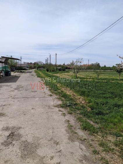 Ferma Zootehnică Mixtă – Cernateaz, Timiș | 9,5 ha | Hale Moderne, Casă 2019, Ut - 4