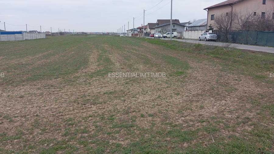 Teren de vanzare Dragomiresti Deal - 3