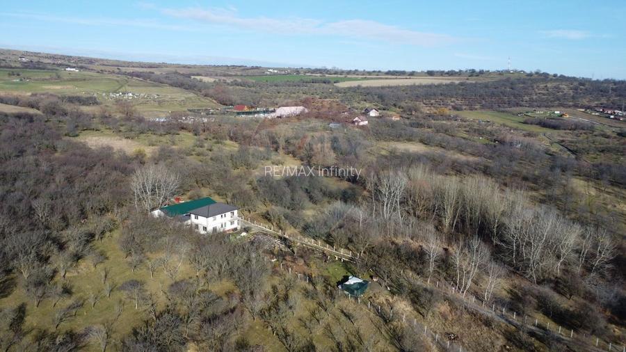 Teren 20.146 mp Dâmbu Rotund (Lomb).Extravilan.Potențial rezidențial - 12