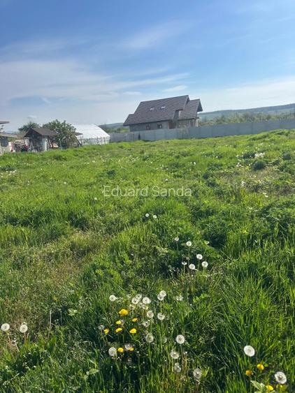 Teren de vanzare Târgu Jiu  - 10