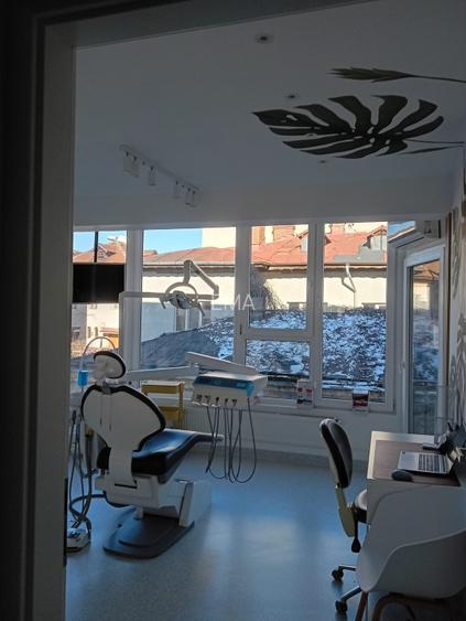 Proprietar vand doua vile in zona Calea Plevnei - 8