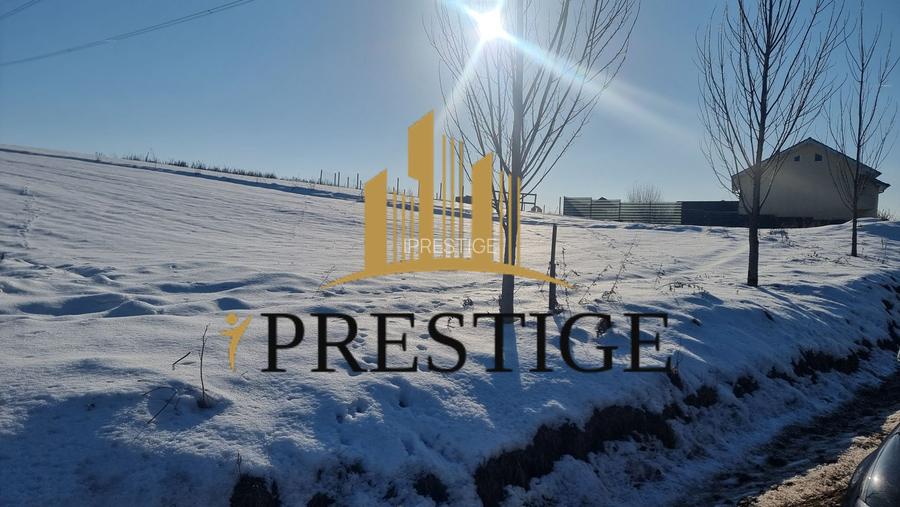 TEREN  DE VÂNZARE 6695 MP ÎN SIBIU ȘURA MARE - 4