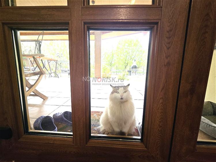 Lake House Dobroesti - Oaza ta de liniște și confort - 17