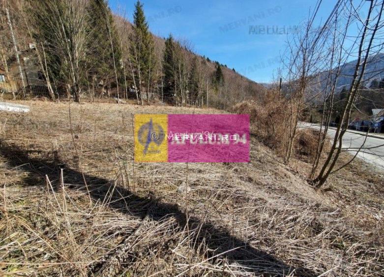 Teren Intravilan de Vânzare Sinaia - 2