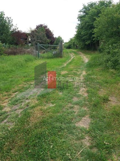 Teren Buftea cu iesire la lac - 3