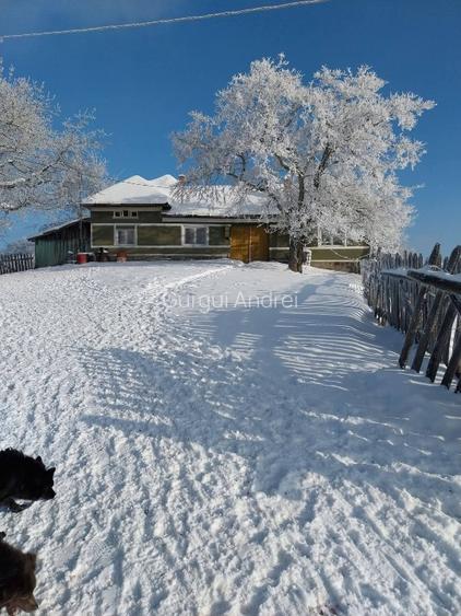 Casa cu teren de vânzare în zona de munte  - 9