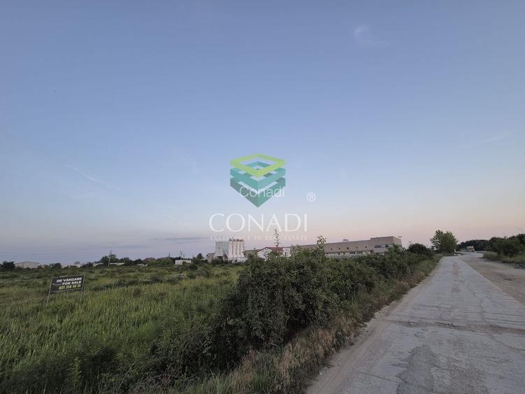 Teren industrial de vânzare în Clinceni – 23.943 mp | Lângă Centura - 5