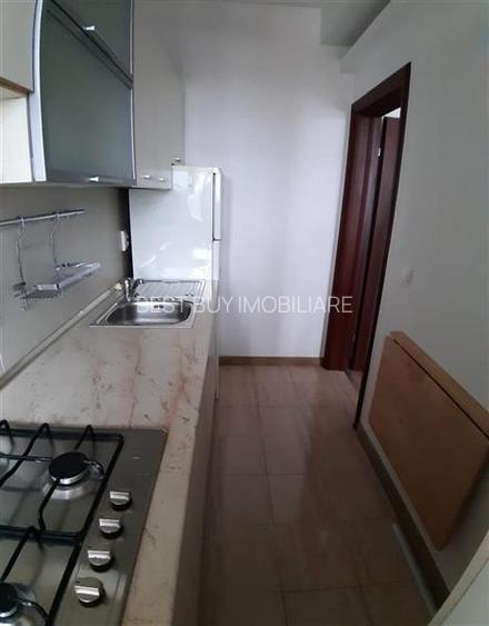 GARSONIERA MOBILATA UTILATA SECTOR 1 BUCURESTII NOI DAMAROAIA PARC IZBICENI - 4