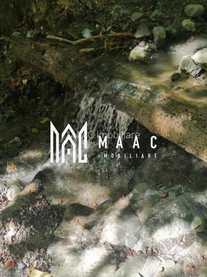 Teren Extravilan 20.000Mp I Stoenești -Vâlcea I Apă Curentă și Pădure - 6