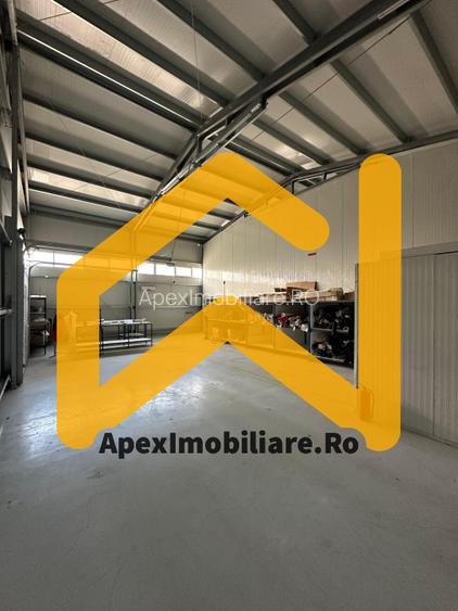 Hala Industrială Malu Rosu Ploiesti 550 mp + Birouri | Parcare 20 | Acces TIR | - 19
