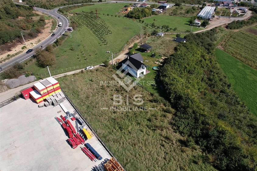 Teren Intravilan - Viisoara - 4