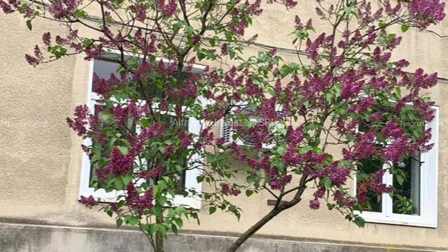 Alfa Invest Imob   propune  la  vinzare  -Apartament 2 camere  versatil  cabinet - 8