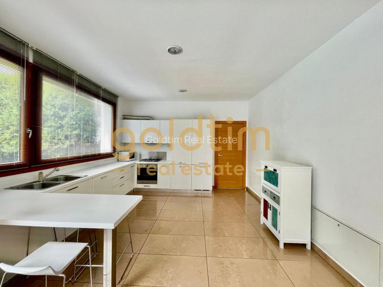 PET FRIENDLY/IANCU NICOLAE/PISCINA/GARAJ/BRITISH SCHOOL - 20