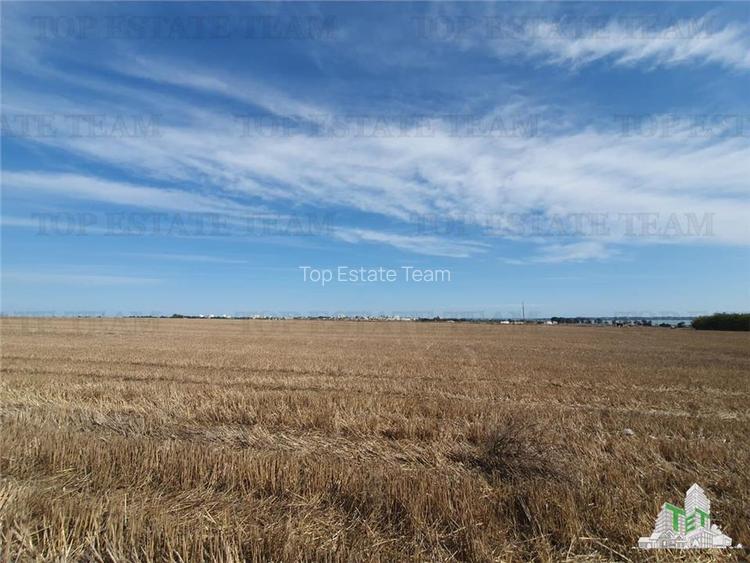 Teren Techirghiol - 6