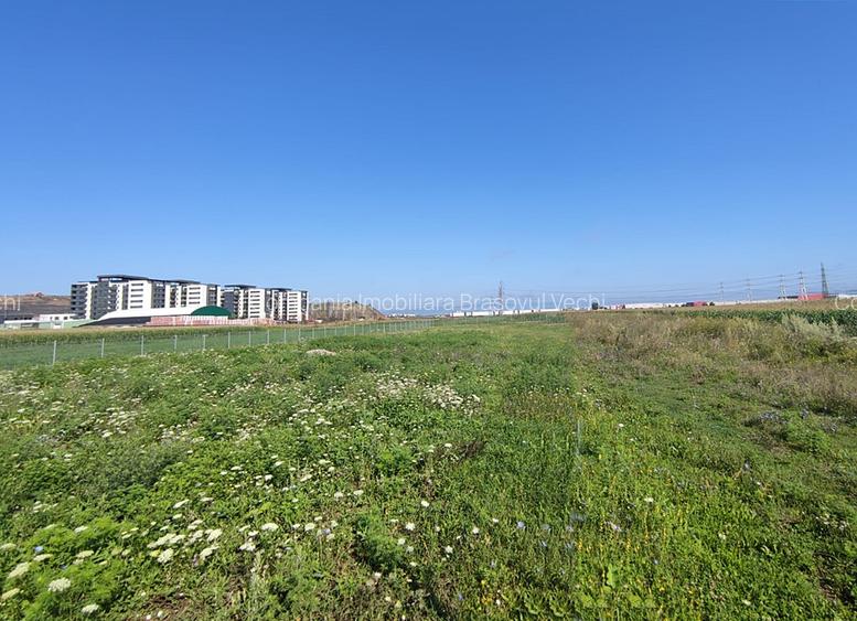 Teren intravilan cu potențial excelent în Triaj, Narciselor, pentru dezvoltatori - 7