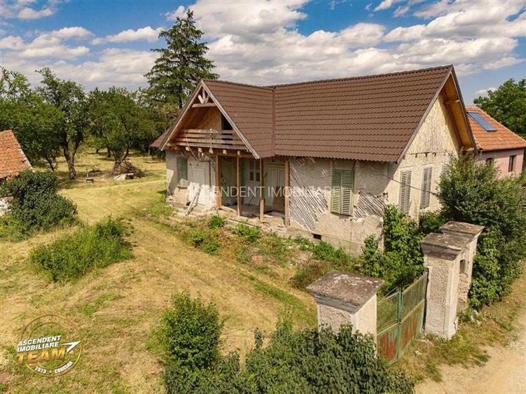 FILM! Casa personalizabila +2.700mp teren,pomi fructiferi,langa Sfantu Gheorghe: - 3