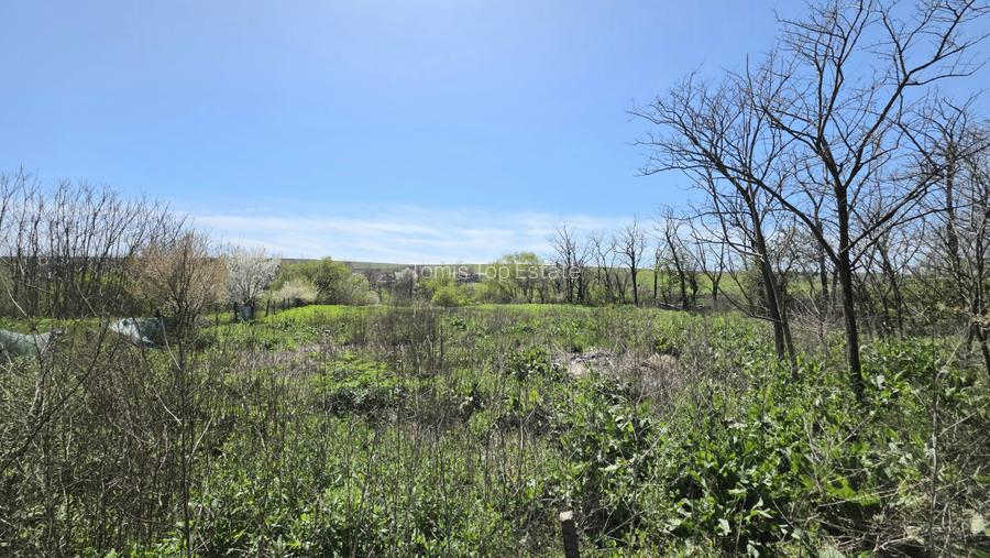 Teren intravilan 2760 MP in Sibioara, Jud. Constanta, ideal pentru investitie - 5