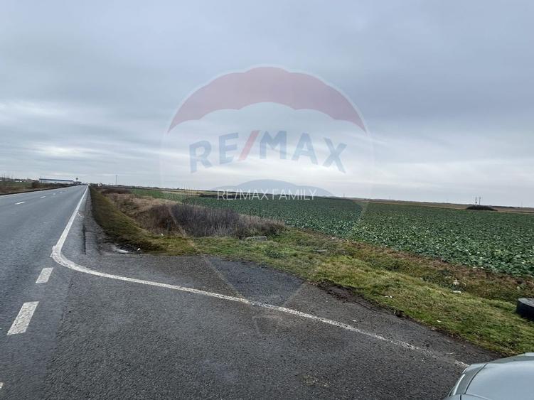 Teren intravilan 80500mp. aproape de nodul rutier de pe DX Oradea-Arad - 7