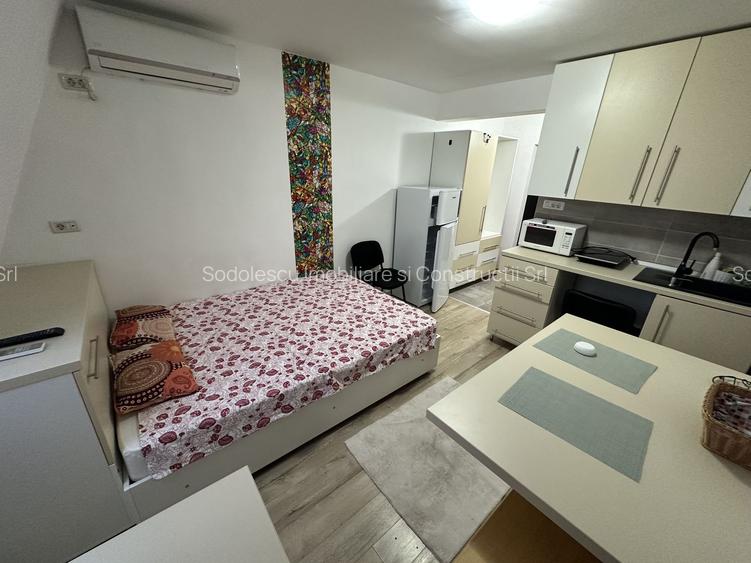 Apartament 1 camera la Mansarda - 2