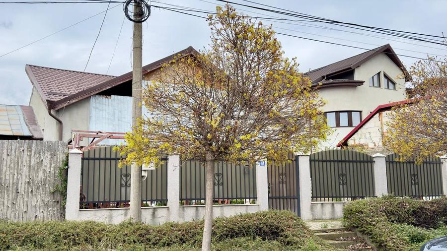 Casa 6 camere individuala Chitila langa Lidl ! - 46