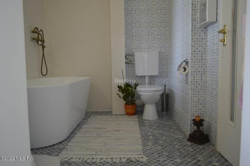 Topoloveni - Conacul Ion Mihalache, Domeniu pe 5 Hectare! - 29