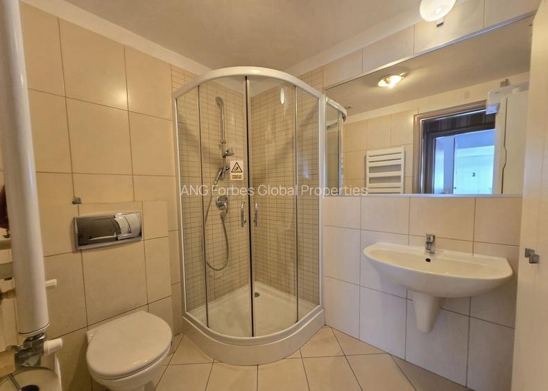 Apartament 3 camere | Lux | Herastrau | Terasa | - 9