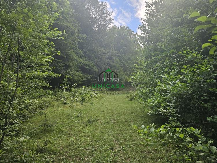 Teren extravilan  cu potential turistic - Brezoi - 2