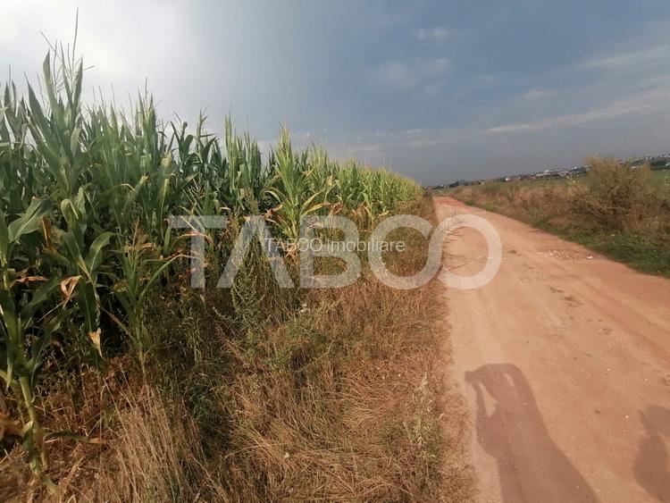 Teren de vanzare 18.844 mp zona Turnisor Sibiu - 3