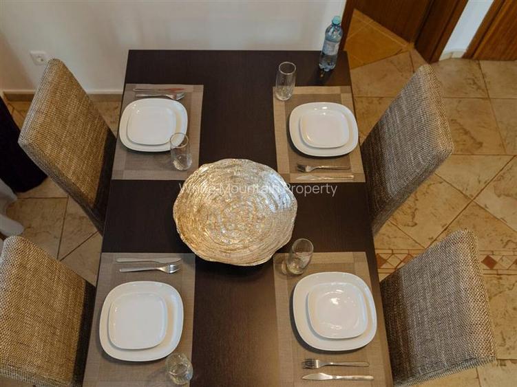 Penthouse 2 camere, inchiriere lunga durata, Herastrau - 12