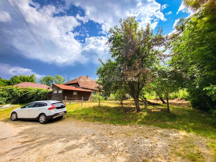 Teren de 11600 mp în mijlocul naturii la 2 ore de București - 3