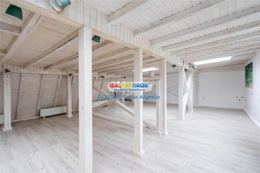 Vila Lux 5 Camere - Romana - 15