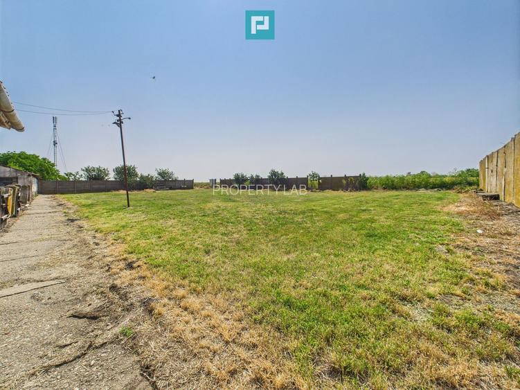 Complex industrial cu hale și teren  în Orțișoara - 30