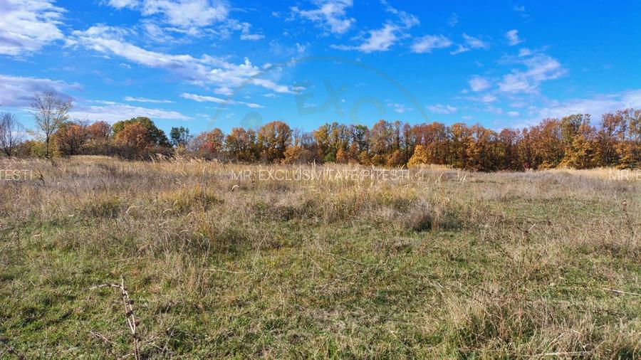 Teren 10200 mp Mosoaia - 8