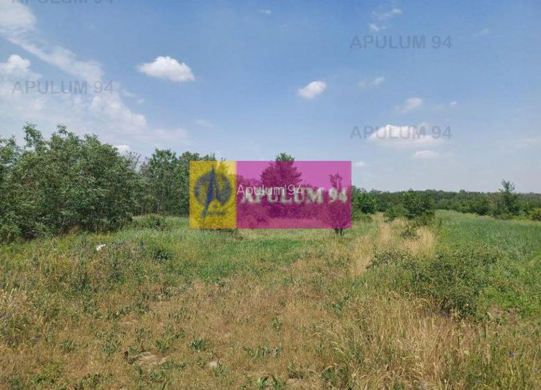 Săbăreni, teren 12620 mp pentru case, lângă pădure - 4