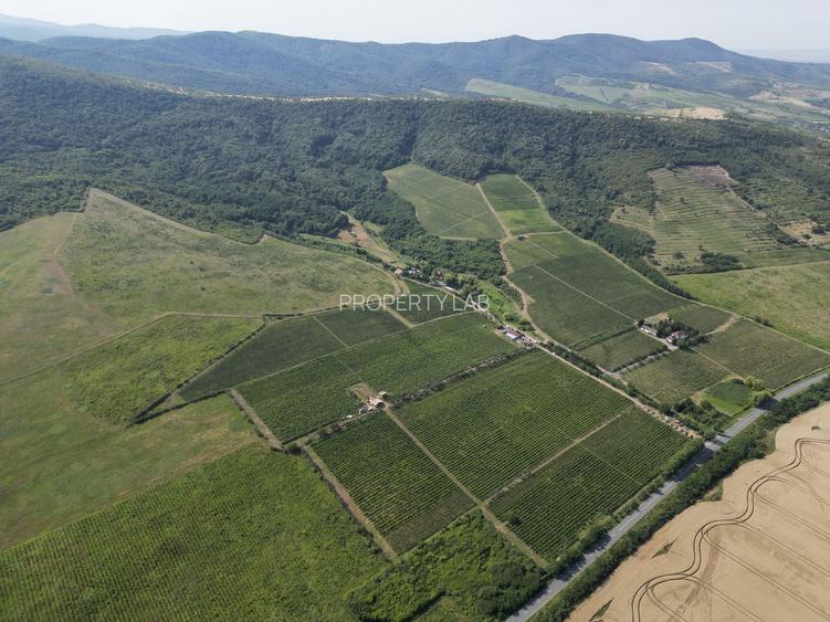 Vie Tradițională „Halta Lupilor” - 31