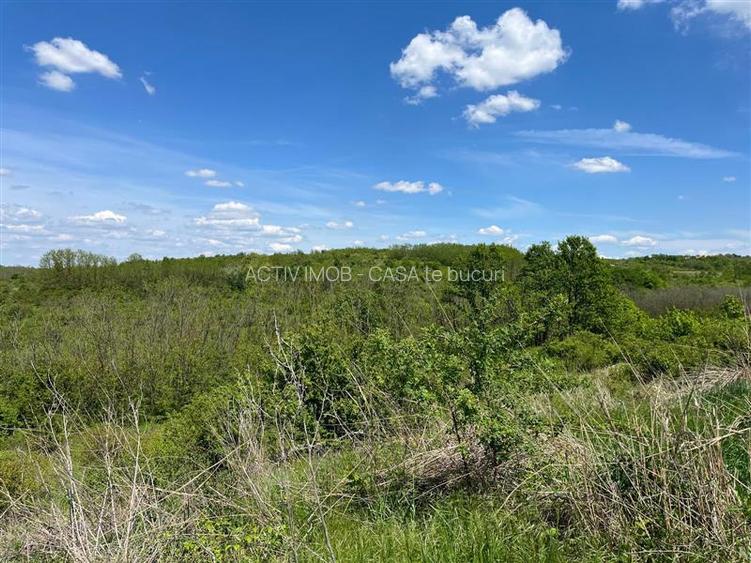 Lugoj Teren  8.200 Mp., Dealul Viilor, Priveliste Impresionanta - 16