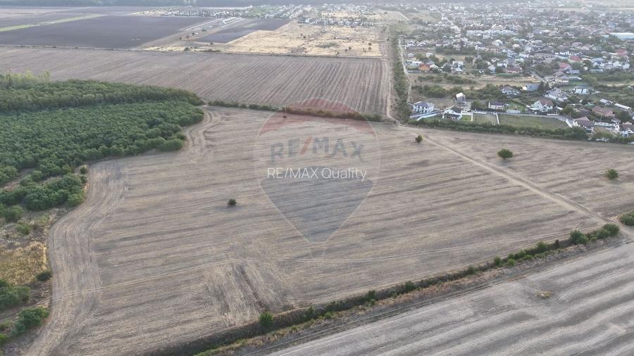 Ocazie investitie, teren intravilan Tamasi / Buftea - 5