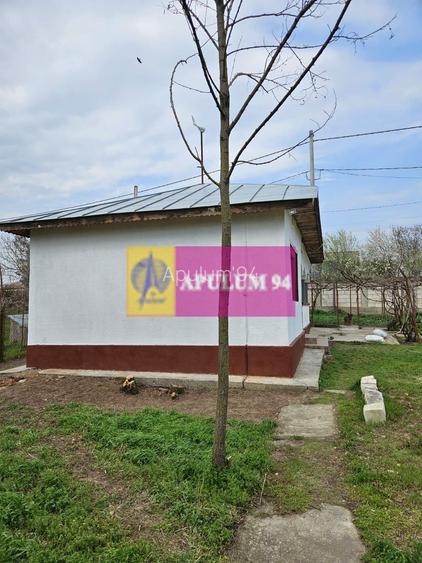 GIURGIU - COM. BUCSANI (SAT OBEDENI) CASA 2 CAM DE VANZARE - 9