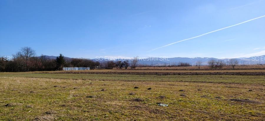 Lot de teren generos in zona linistita si usor accesibila - 4