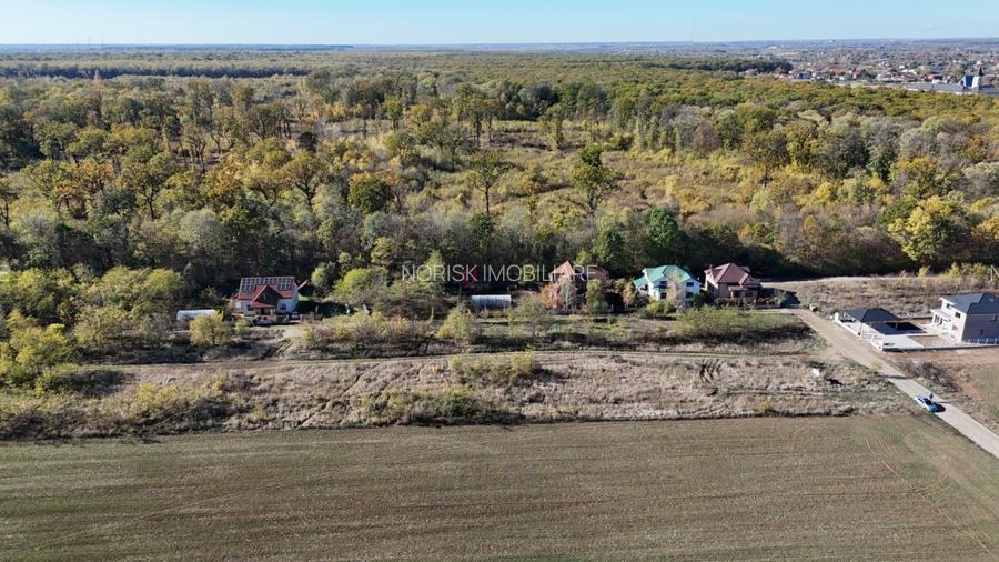 Snagov padure - Teren intravilan cu PUZ aprobat - 7