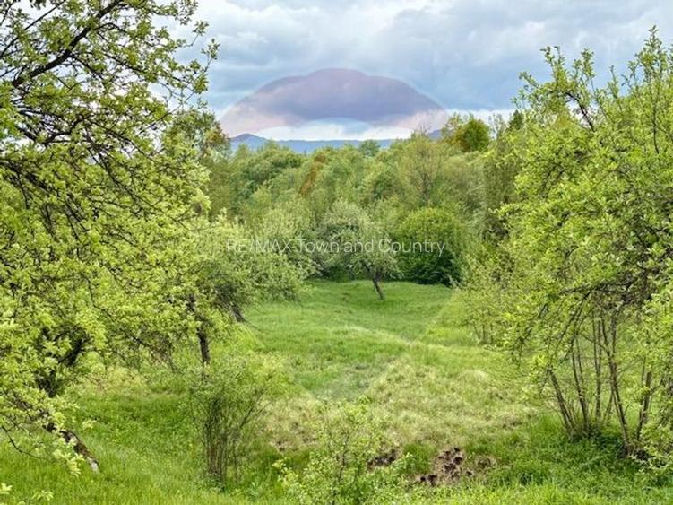 Teren 20,876mp Breb / Drumul Principal - 7