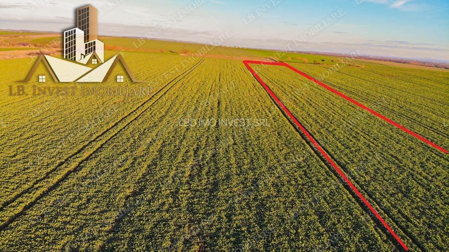 Teren Giarmata- asfalt-utilitati- PUG de locuinte colective - 2