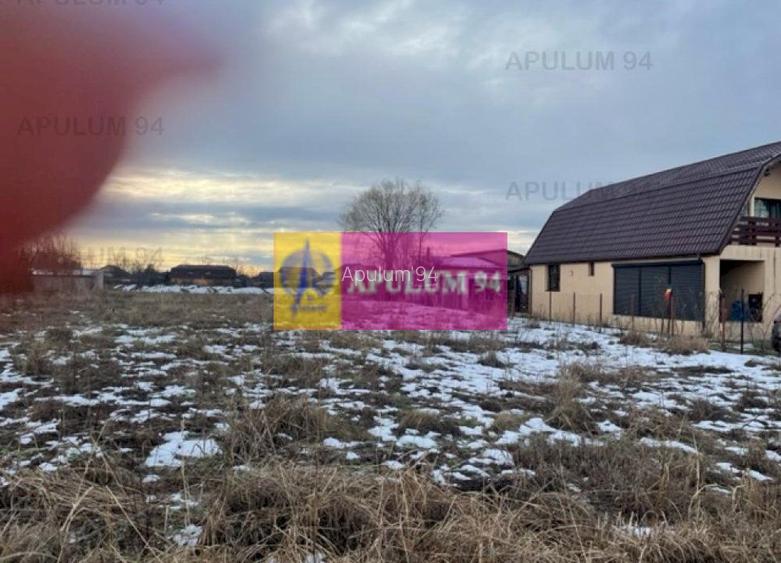 Teren Buda- Ilfov. - 3