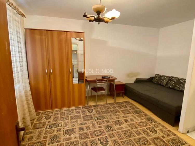 Lacul Tei, langa Facultatea de Constructii - 2